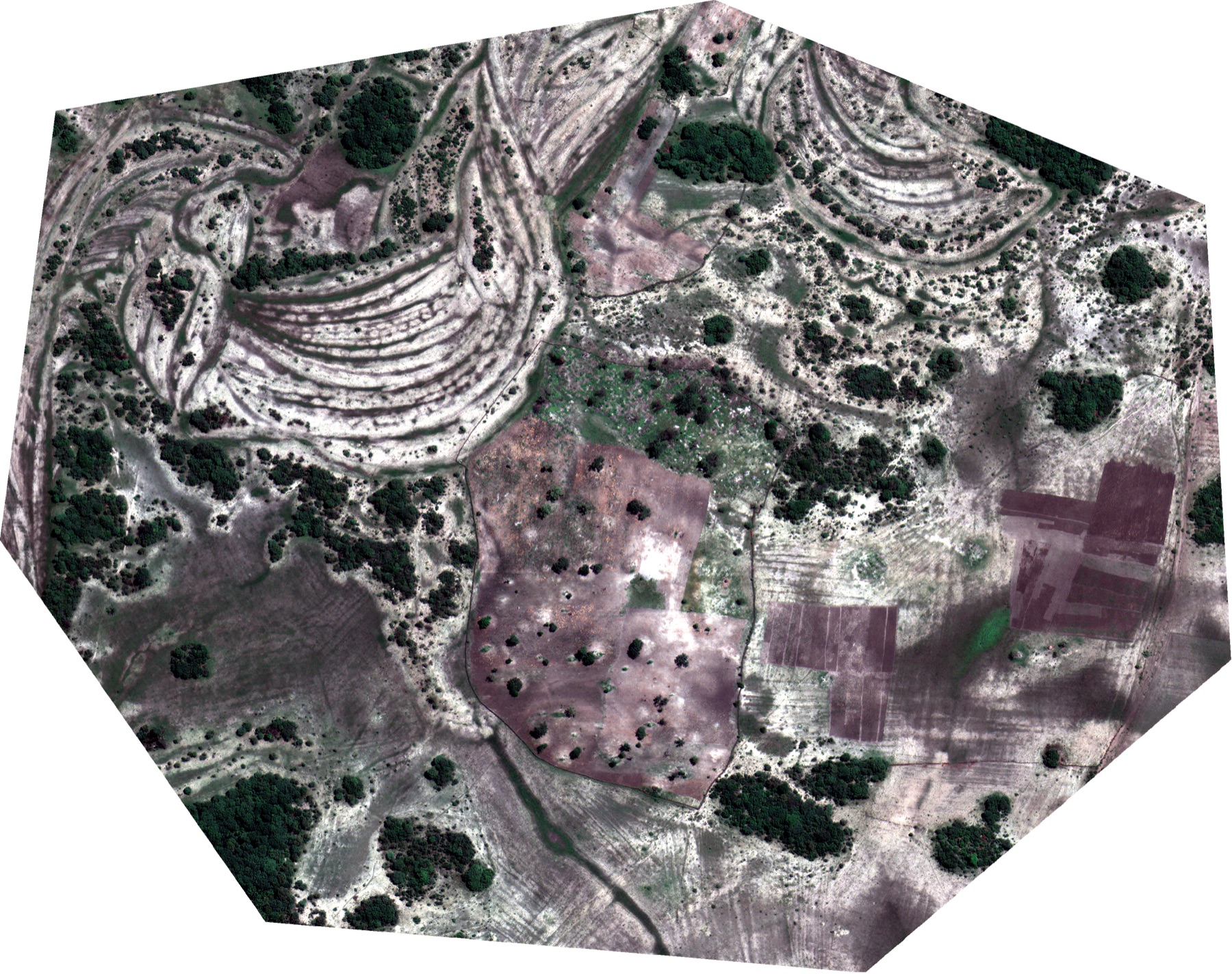 Sub-metre satellite, wet season